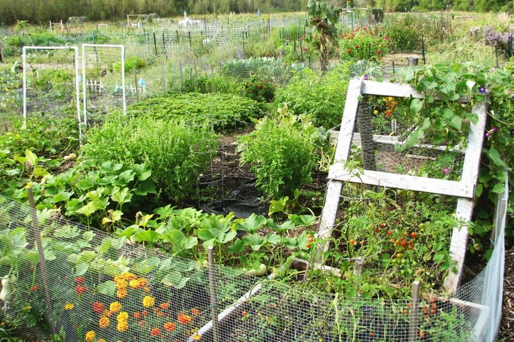 Verona, WI Homes for Sale & Real Estate